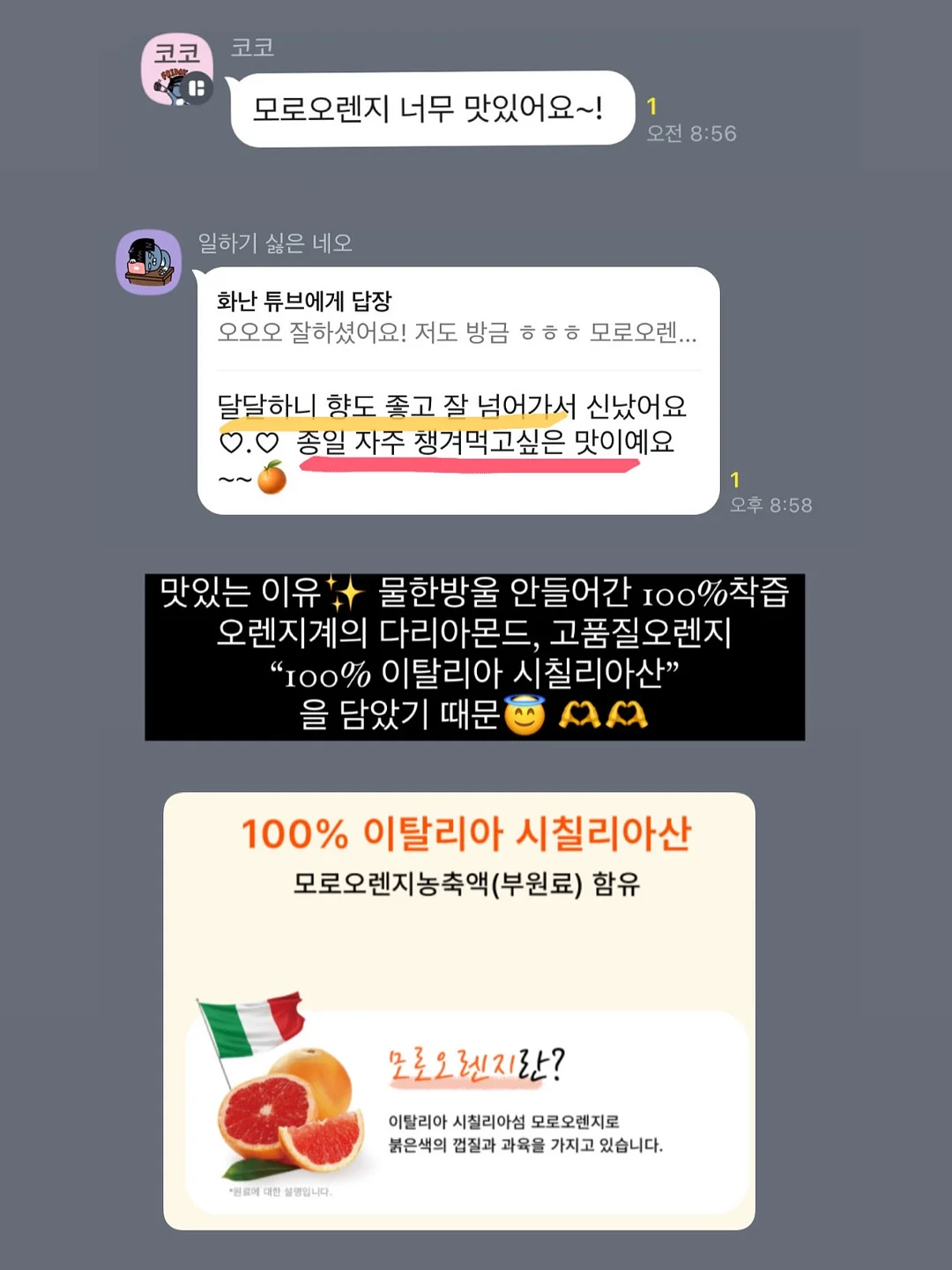 도트나시 4