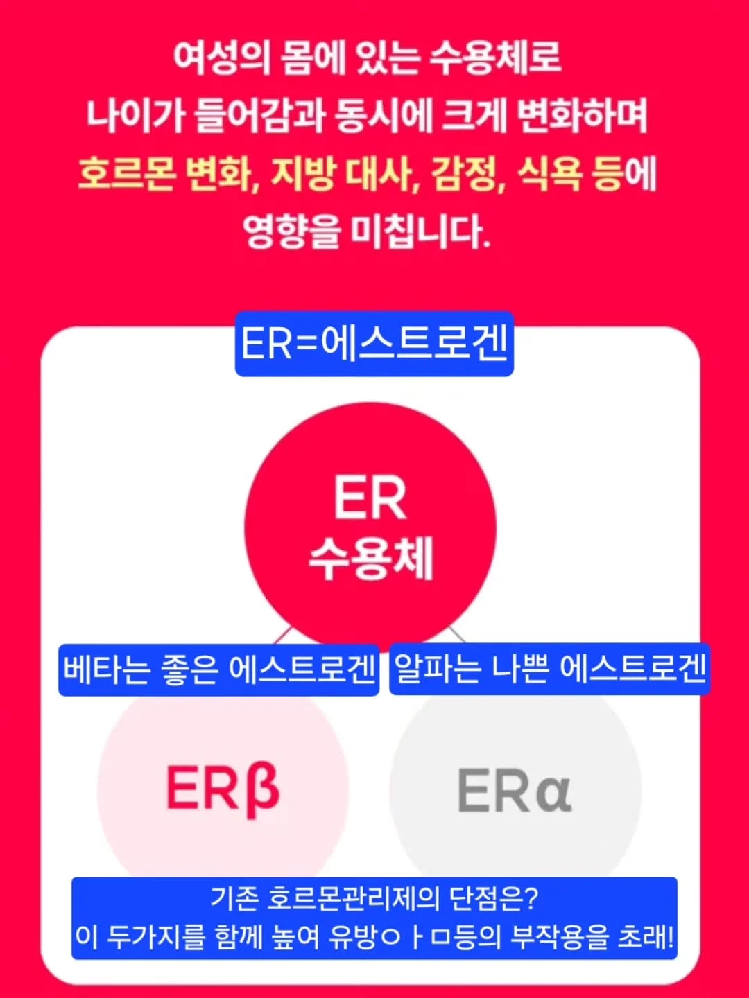 블라썸상하 5