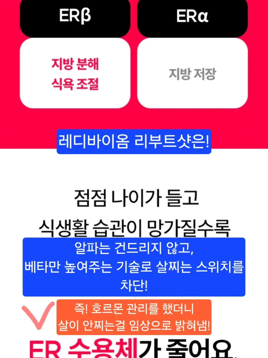 블라썸상하 6