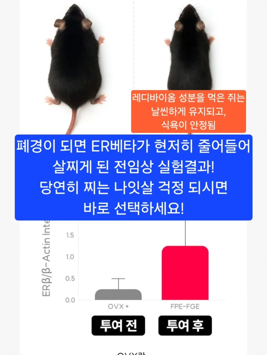 블라썸상하 7