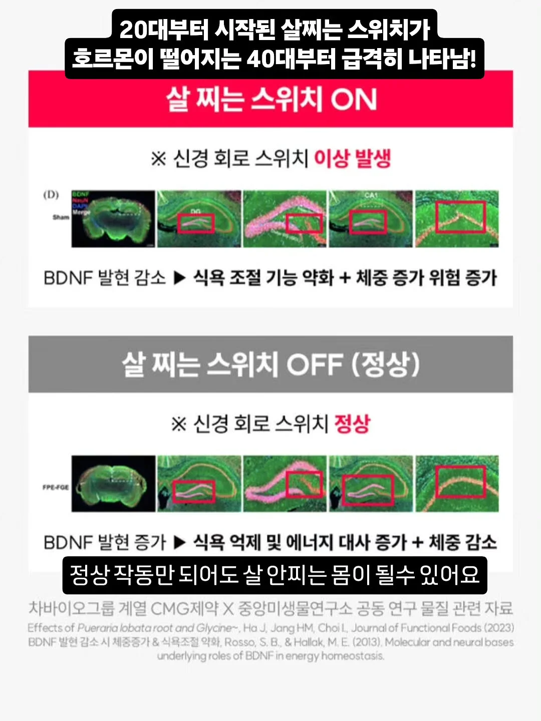 블라썸상하 10