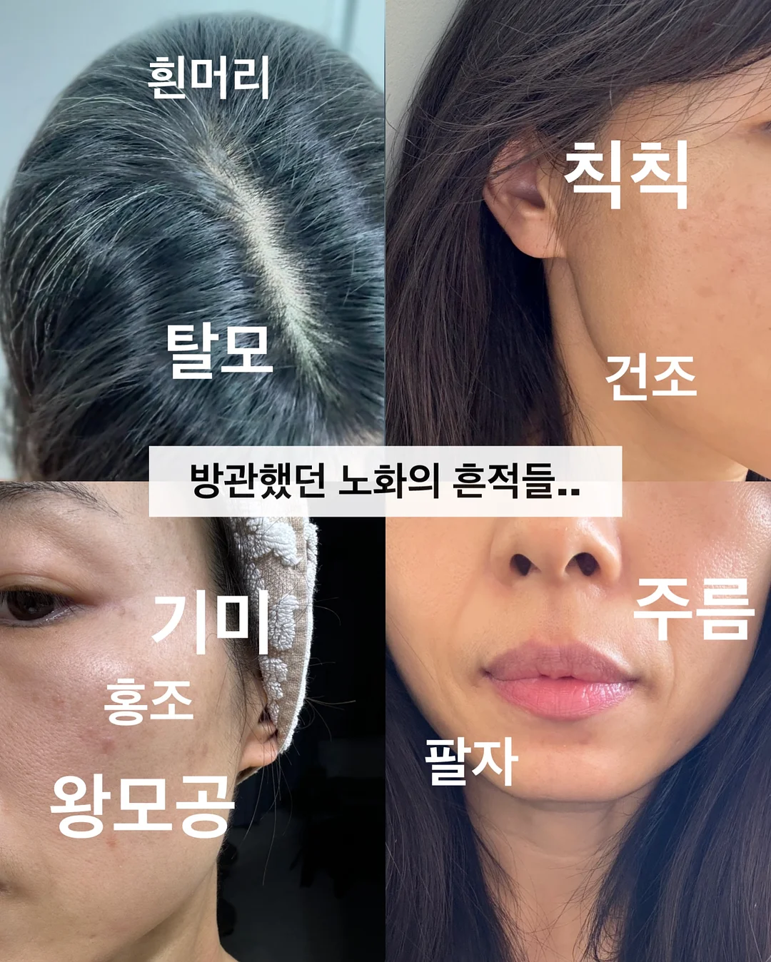 동국장건강유산균 11