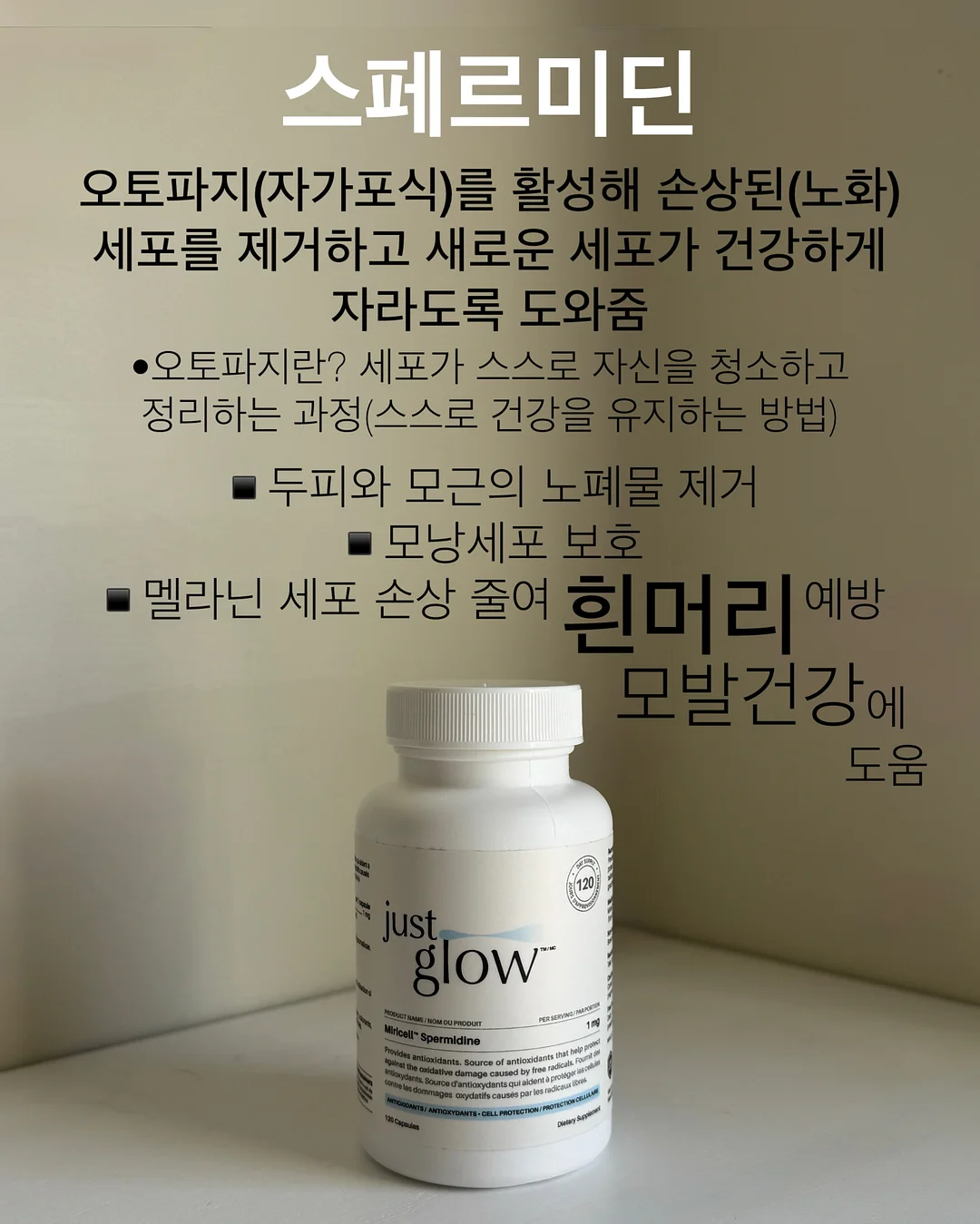 동국장건강유산균 7