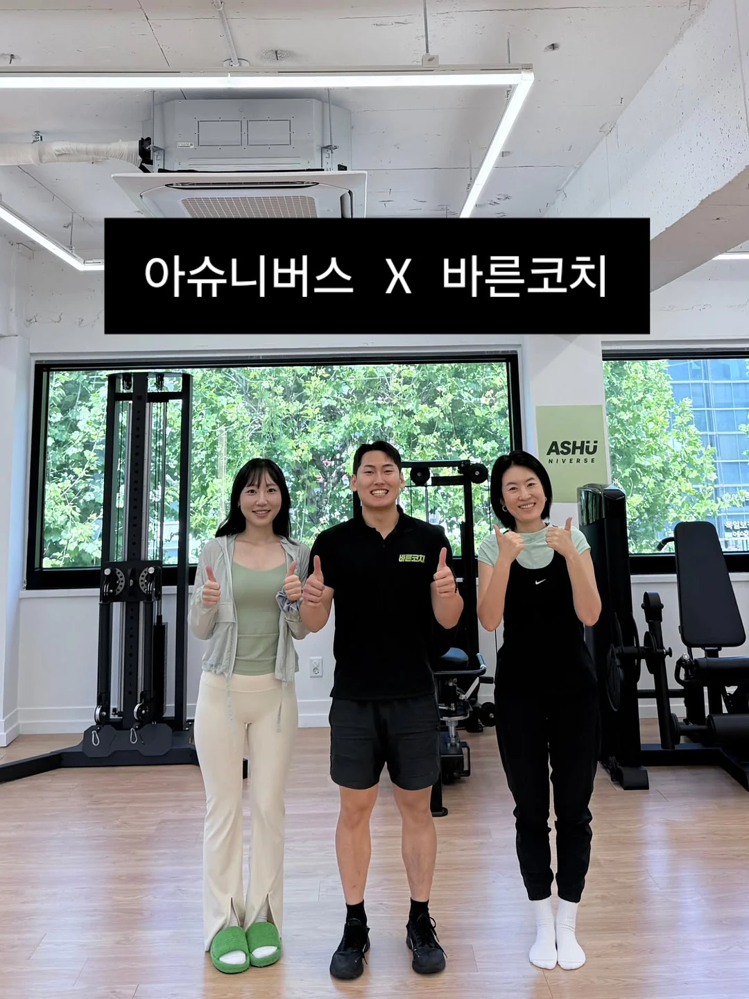 액막이명태와 데이지 해바라기 7