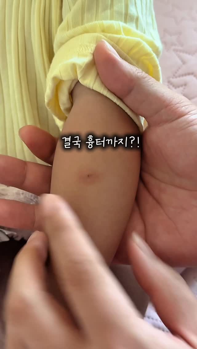 올리브영 세일 색조 추천