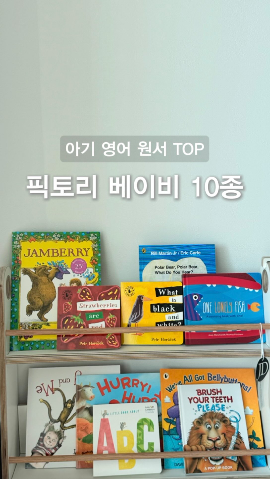 쇼펜하우어 인생수업