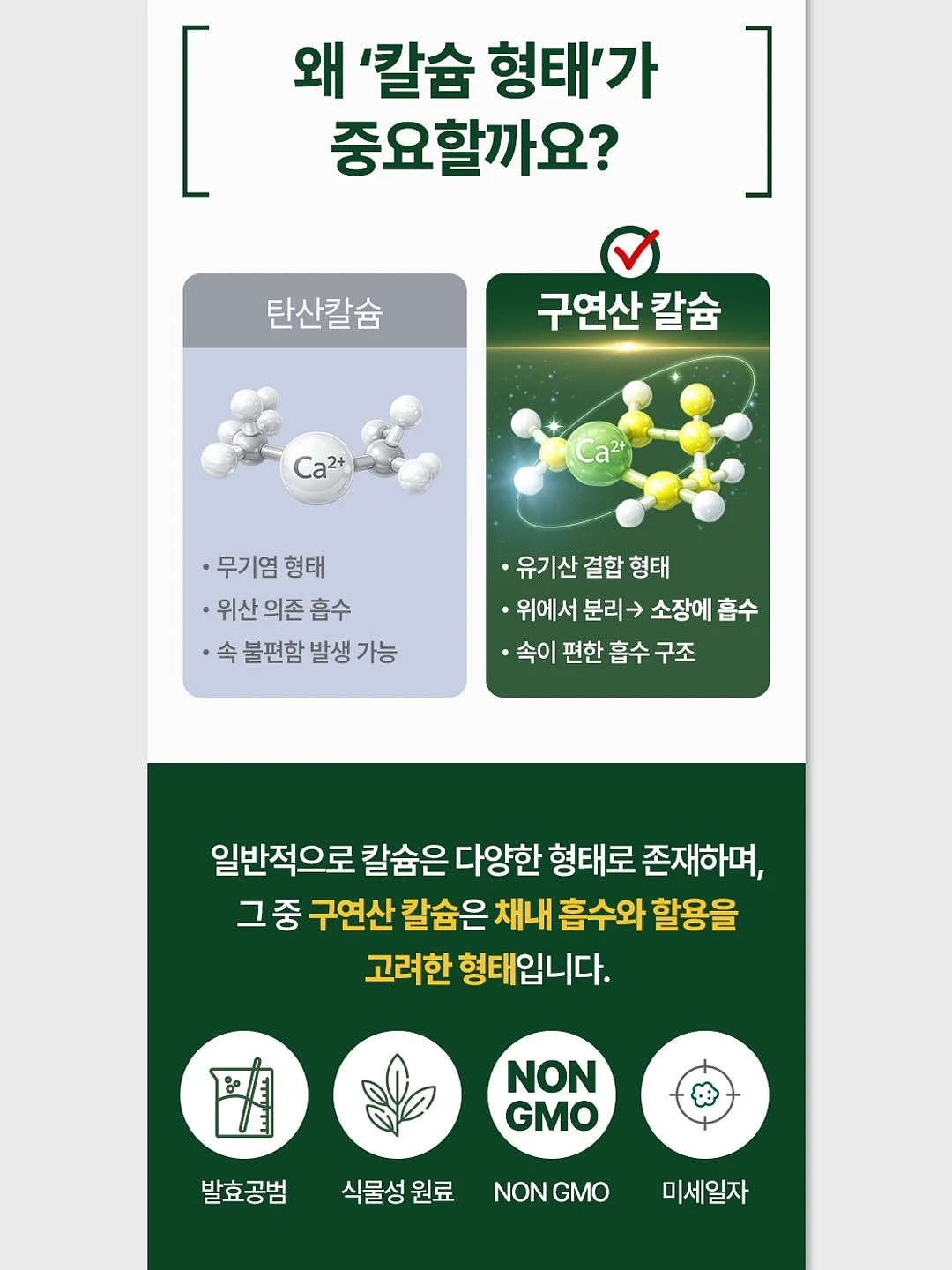 결국엔 다정함이 이긴다 14