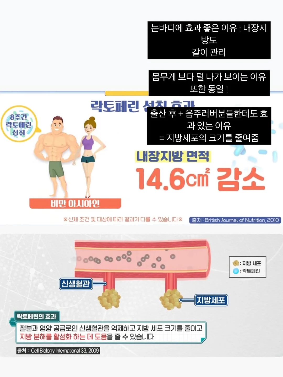 생선구이 팬 8