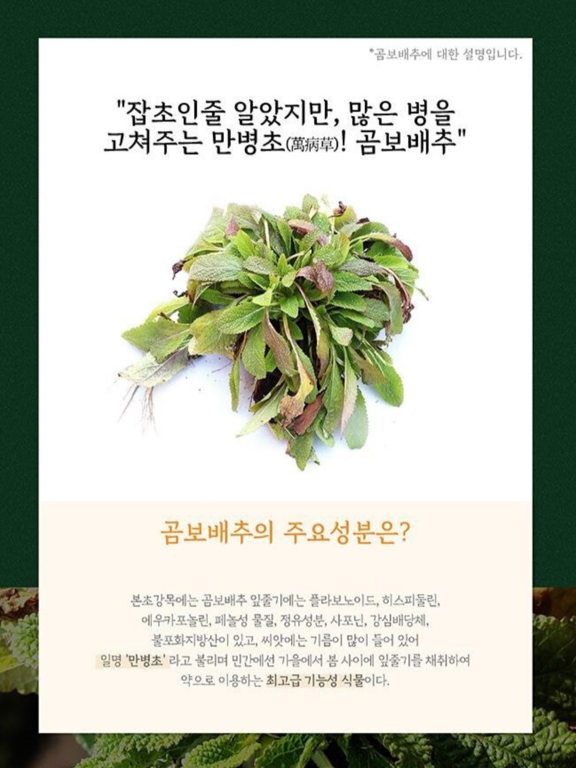 베스트하임 브리넥스 무선 탁상용 미니선풍기 6