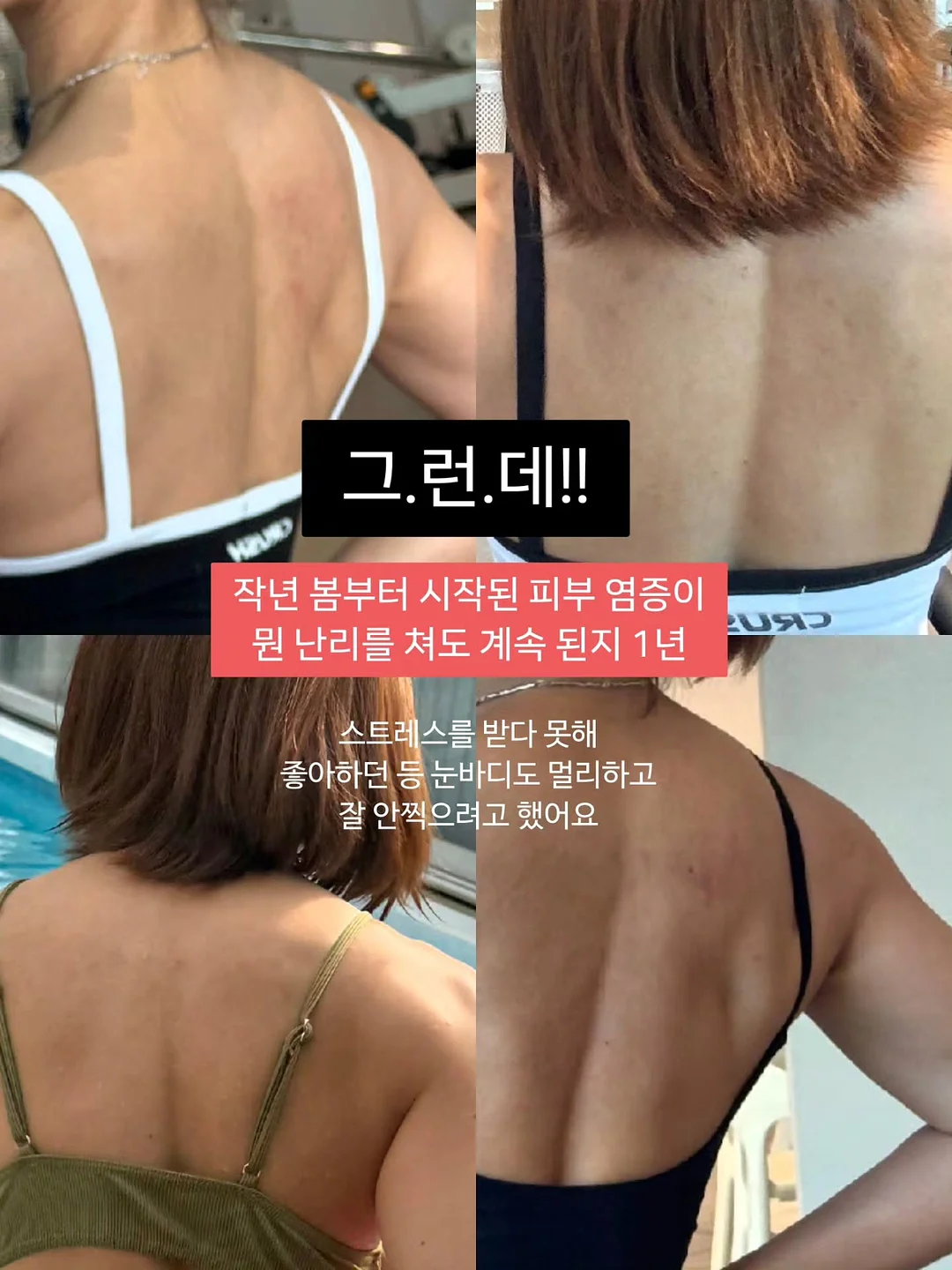 상추 2