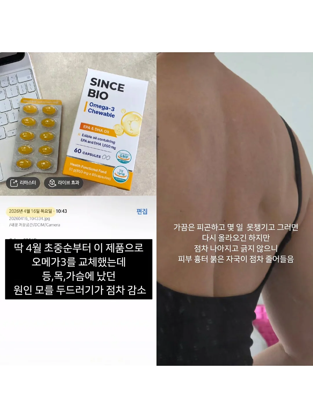 상추 3