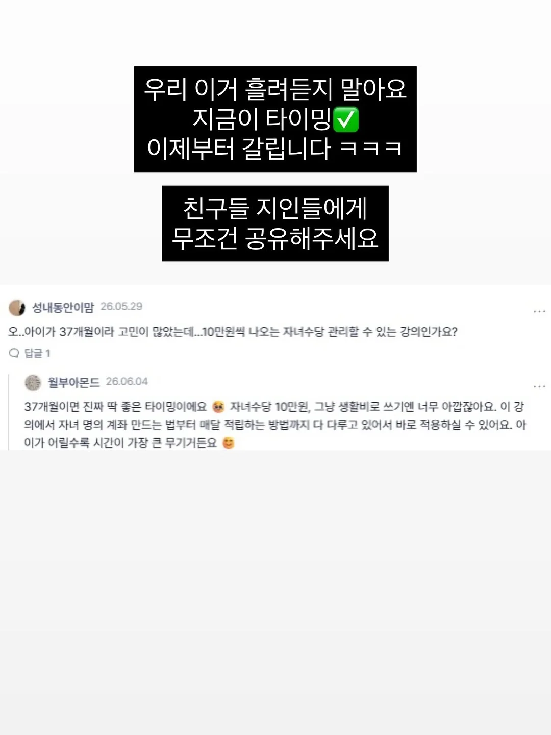 아이어바나 맥스 카시트 13