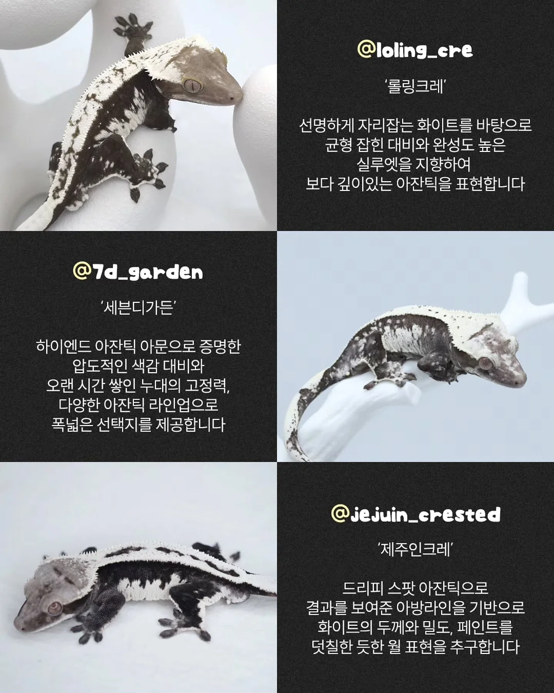 두부 보관 용기 2