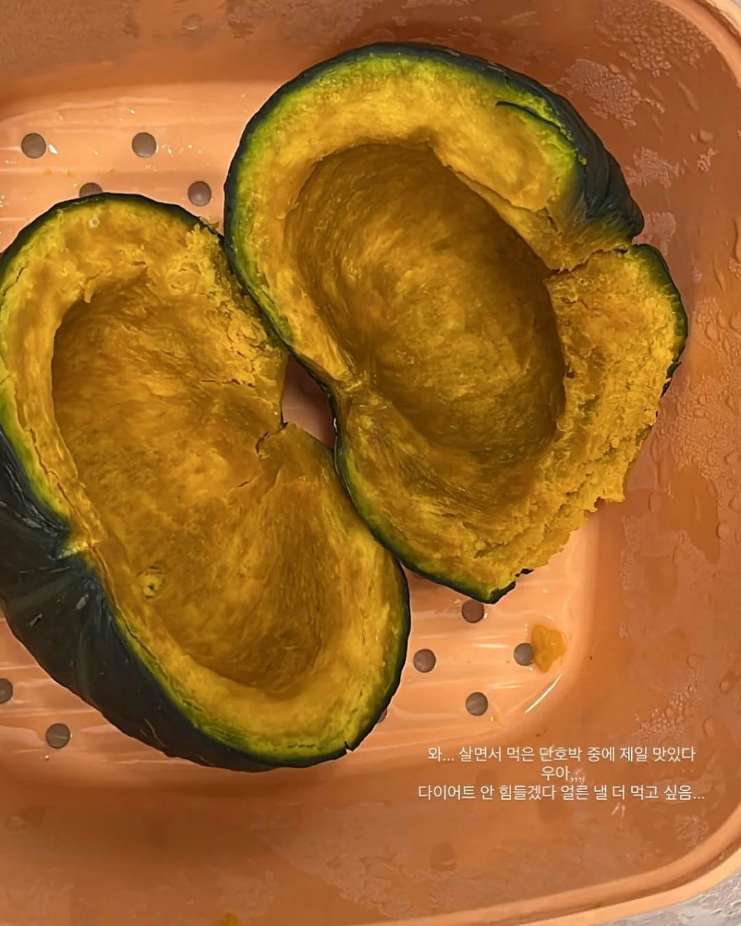 루메나 드라이 타워 맥스 제습기 15