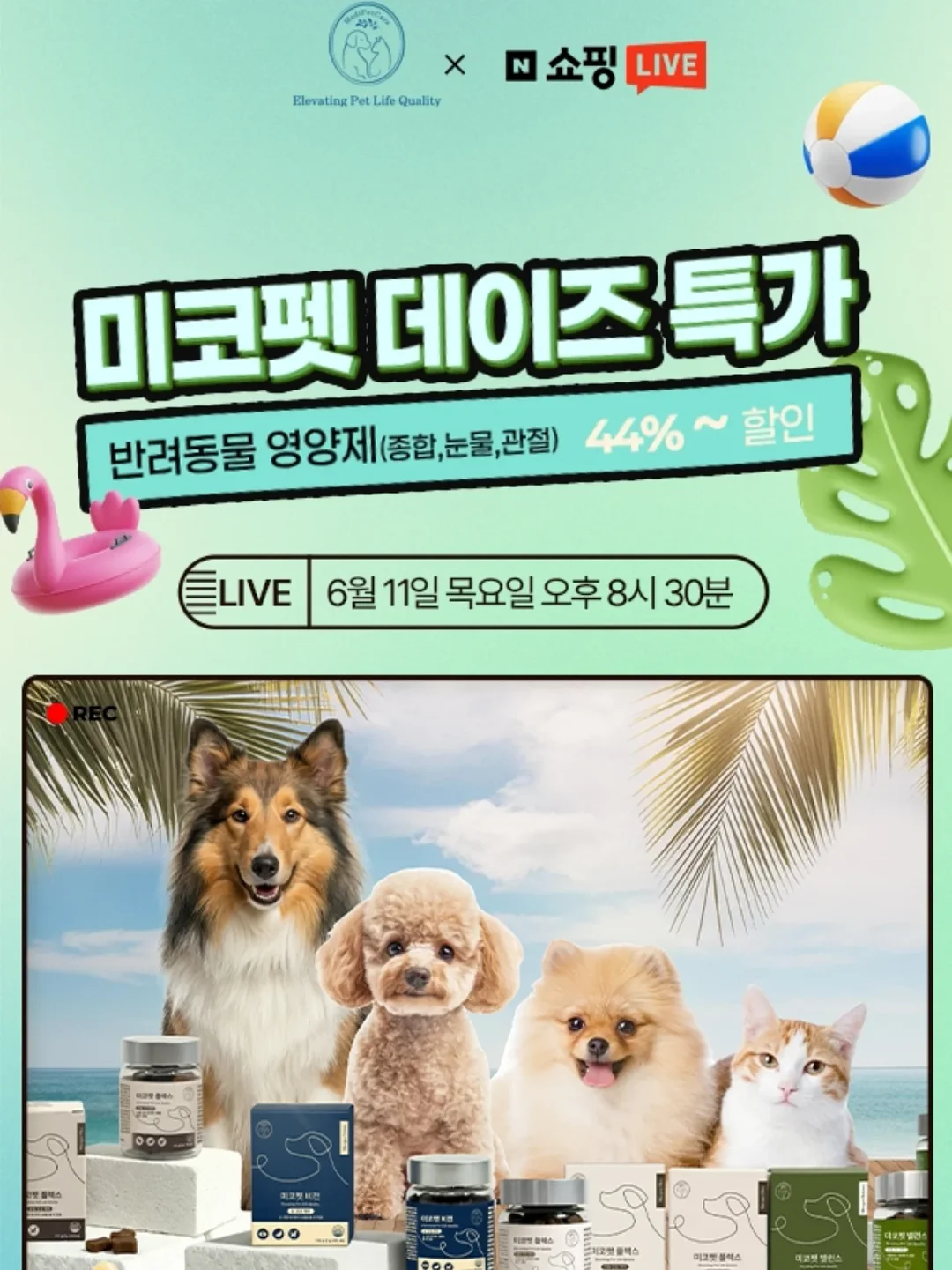 바이어트