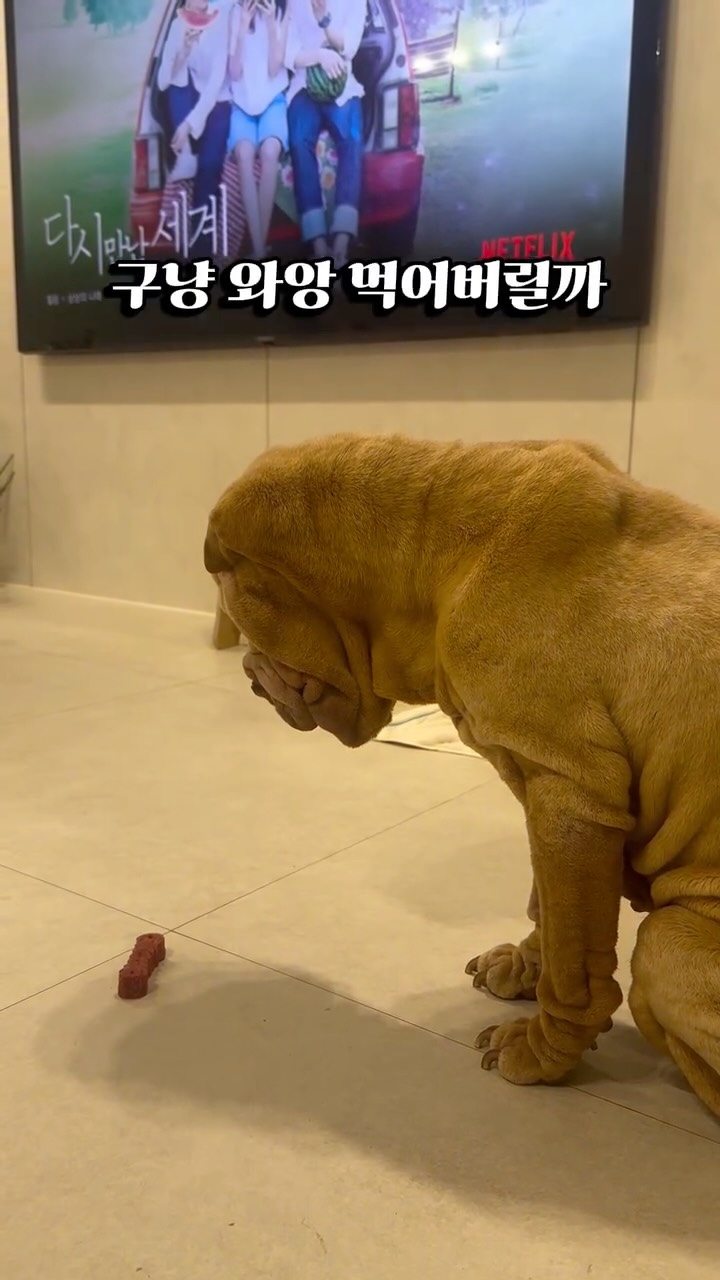 응원봉