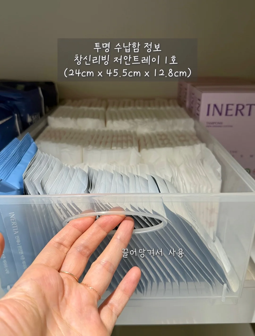 일상의 작은사치 5