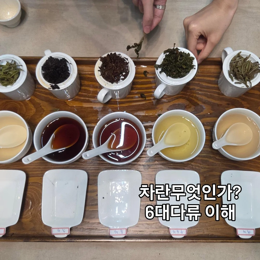 몽드팩토리 라방 의류 2