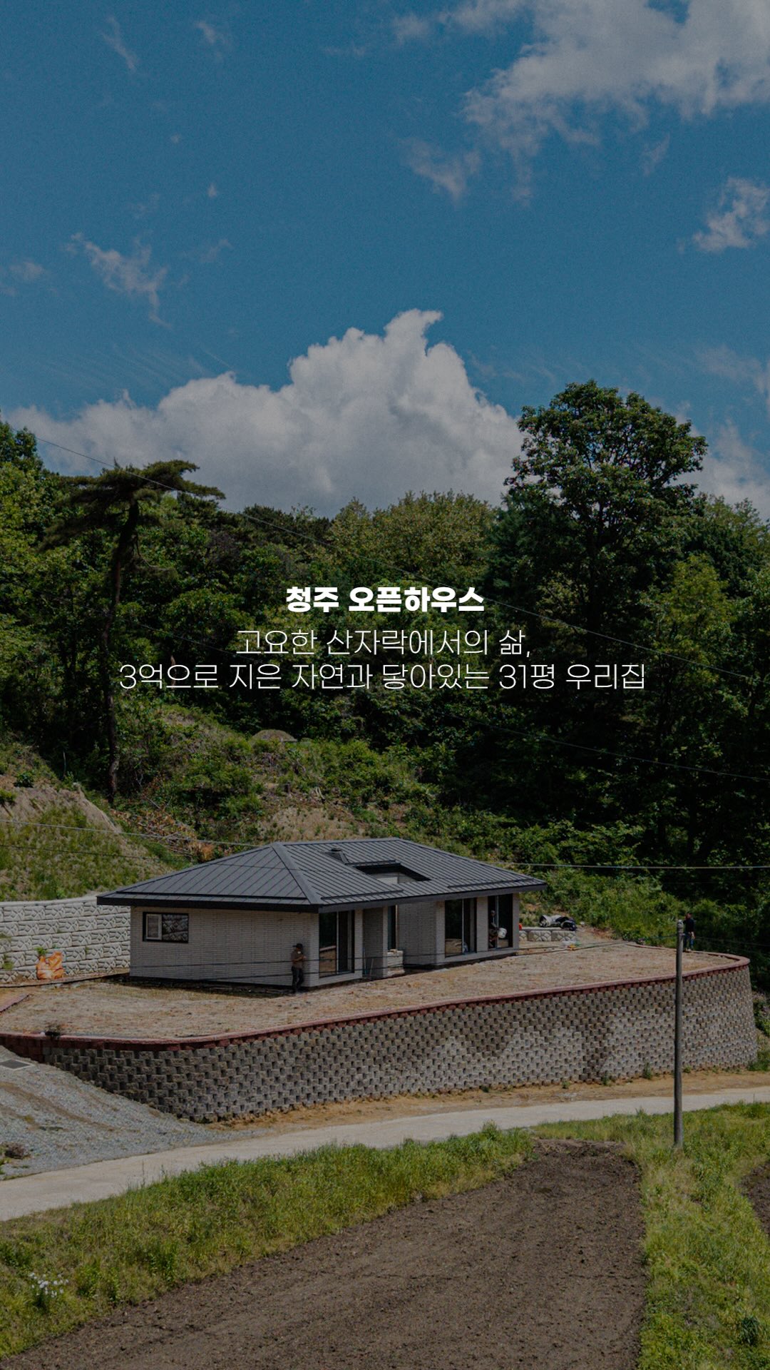 봉투냥이 스티커