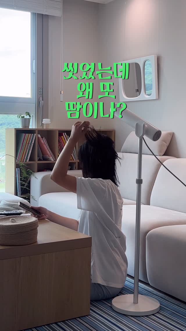 망고