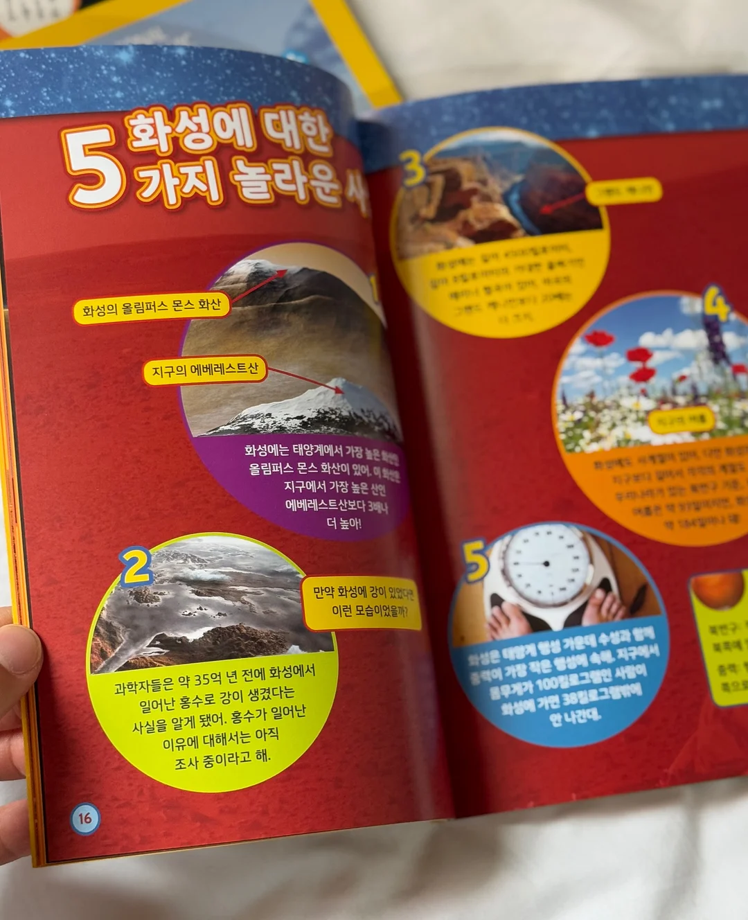 온혈수 19