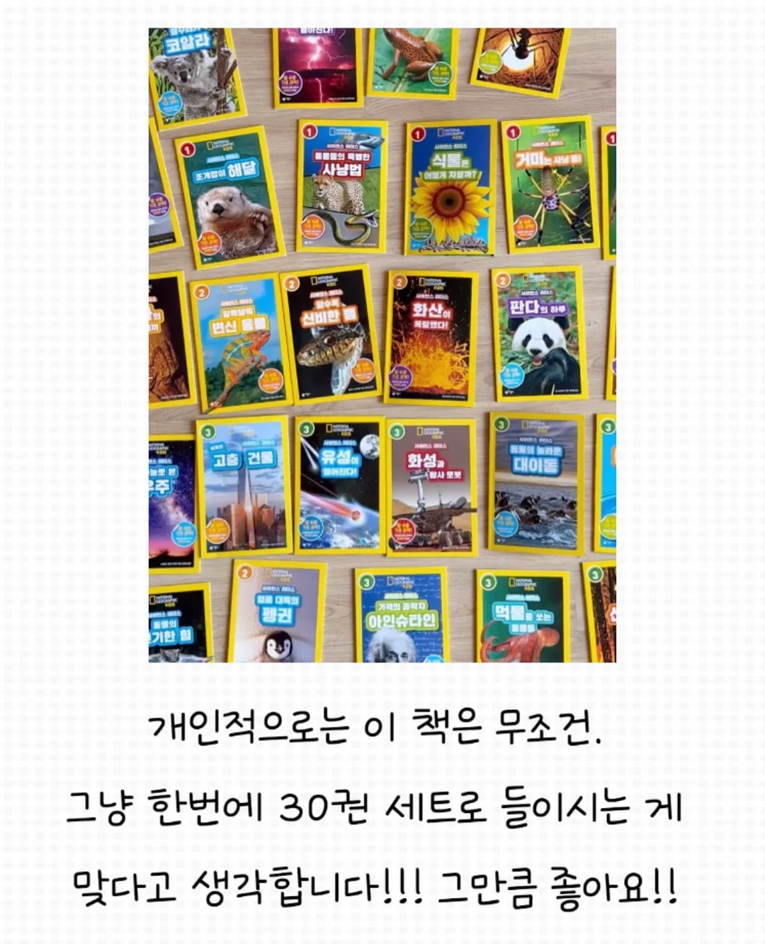 온혈수 8