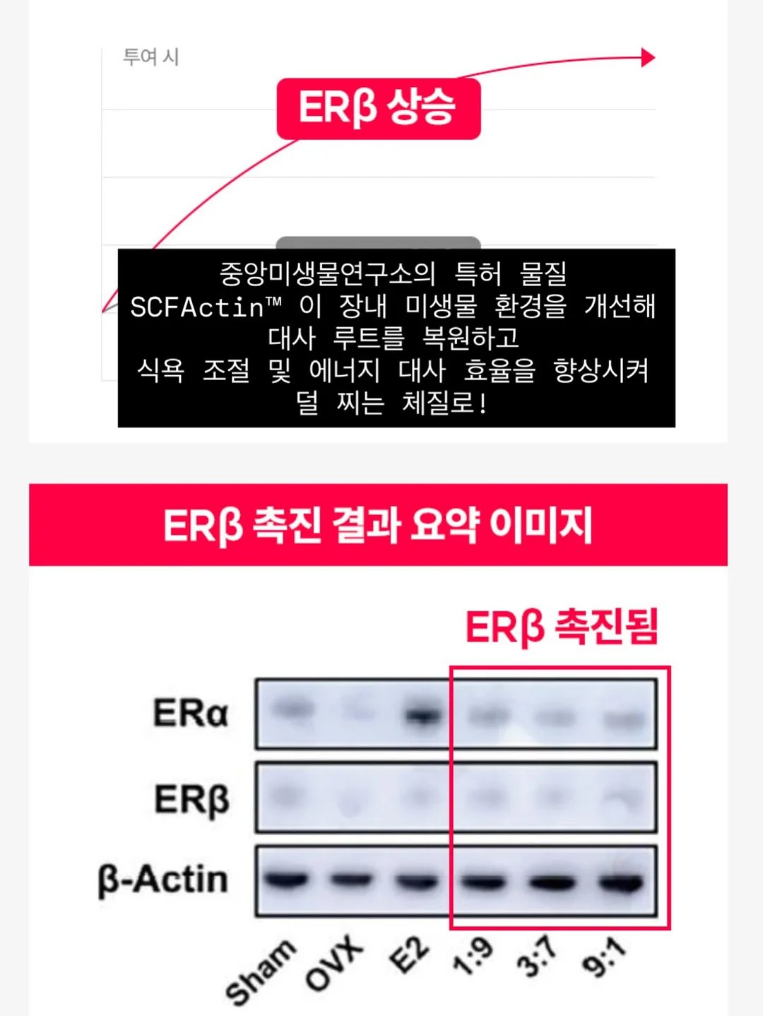 회전식 옷걸이 13
