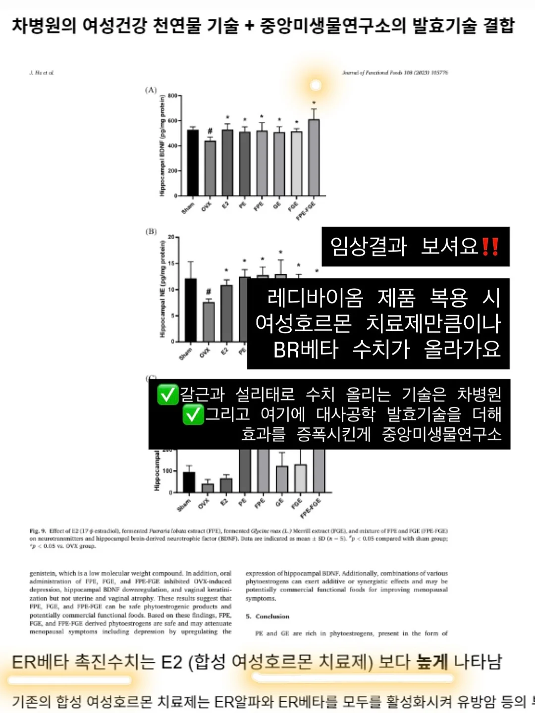 회전식 옷걸이 10