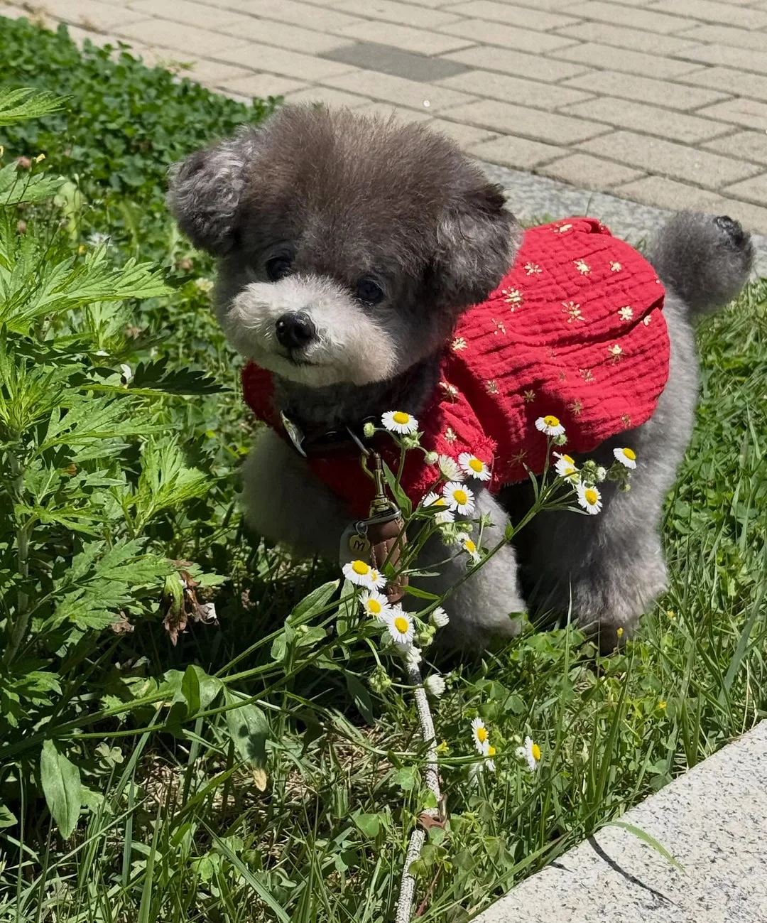 밀폐용기 4