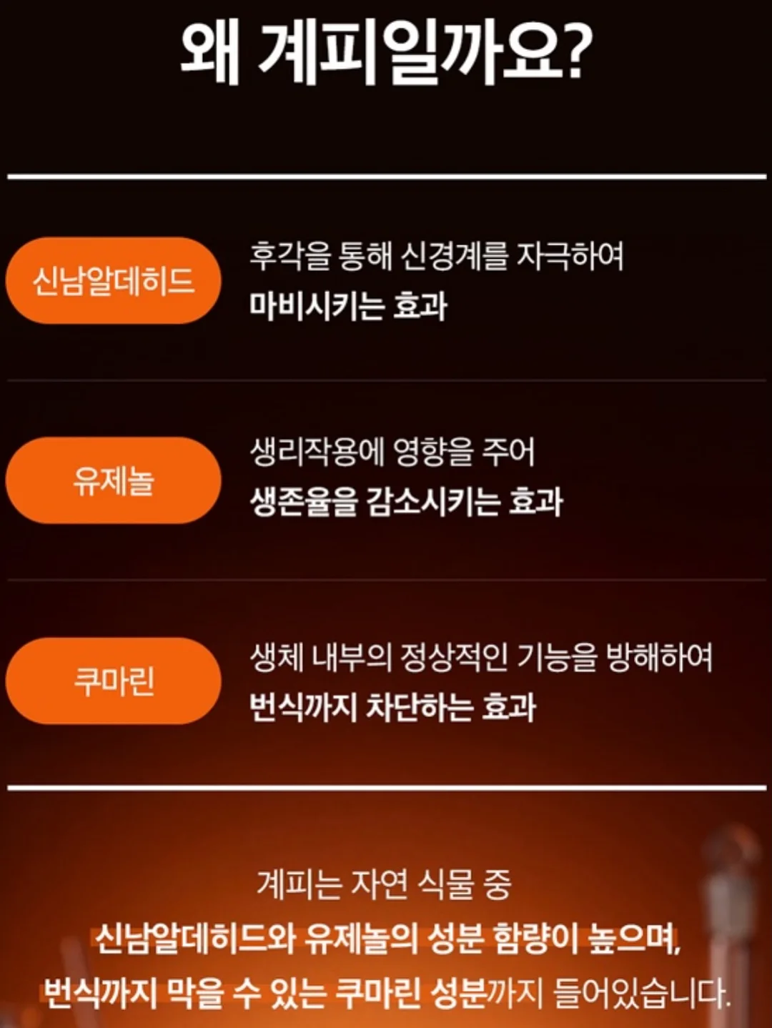 팸퍼스 프리미엄 기저귀 2026 터치 오브 네이처 썸머팬티 12