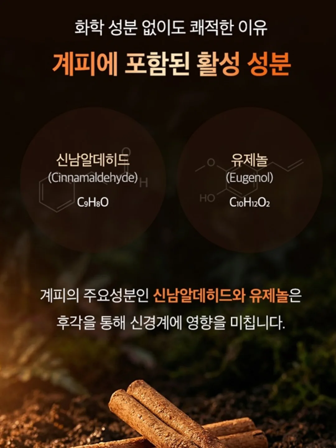 팸퍼스 프리미엄 기저귀 2026 터치 오브 네이처 썸머팬티 10