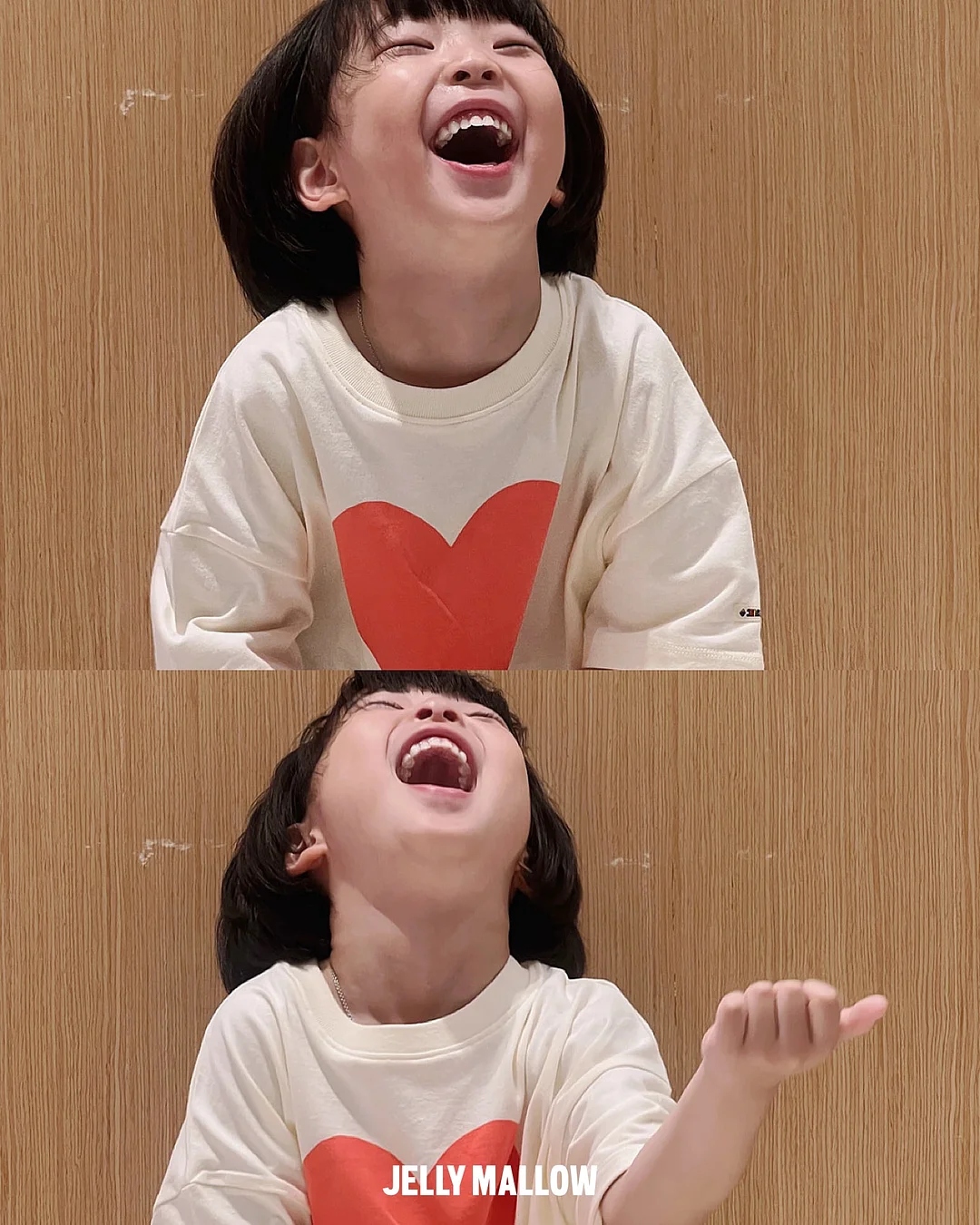 필웰 테미스 틸팅 전면책장 5