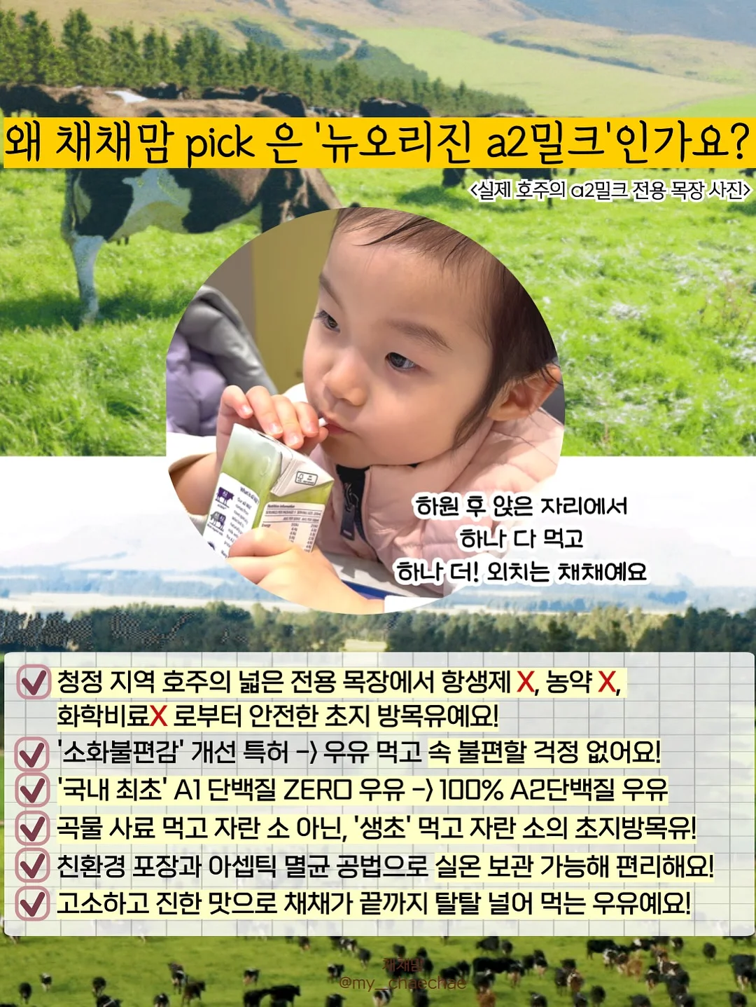 베키아에누보 치아바타 샌드위치 12