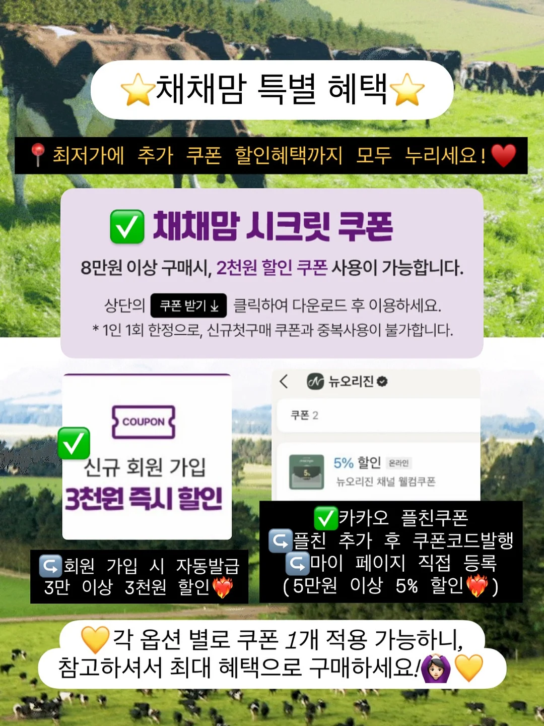 베키아에누보 치아바타 샌드위치 4