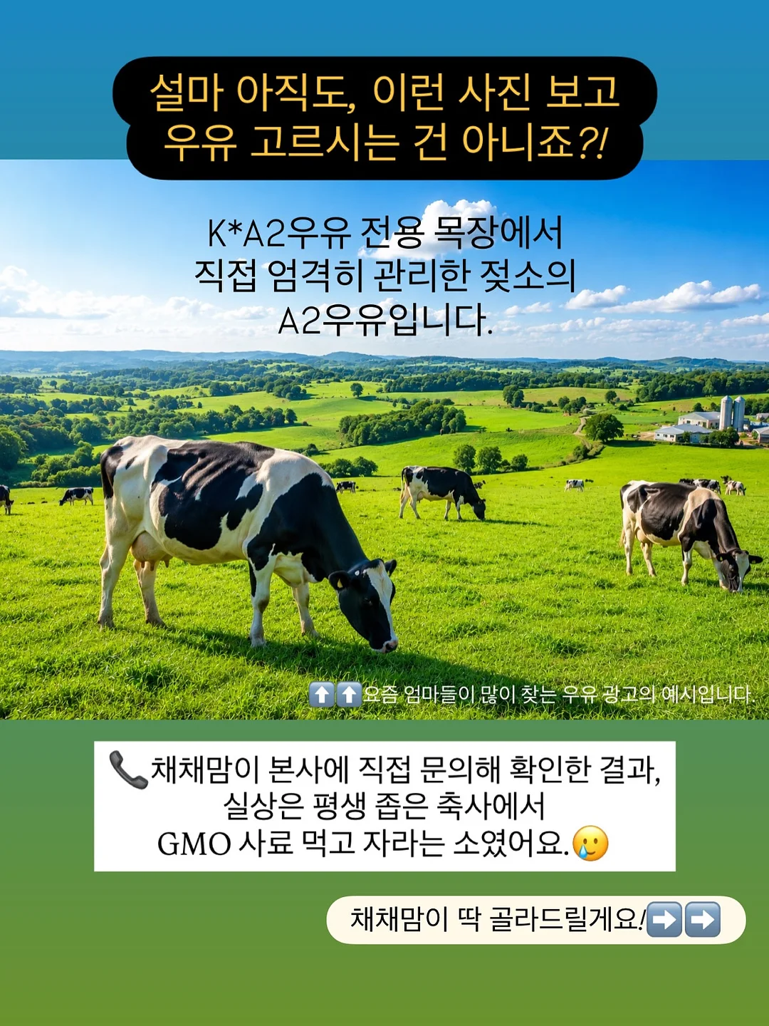 베키아에누보 치아바타 샌드위치 6