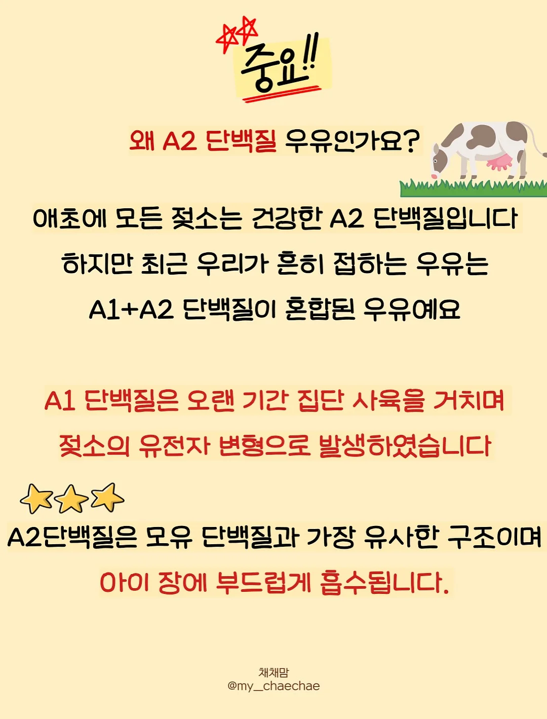 베키아에누보 치아바타 샌드위치 9