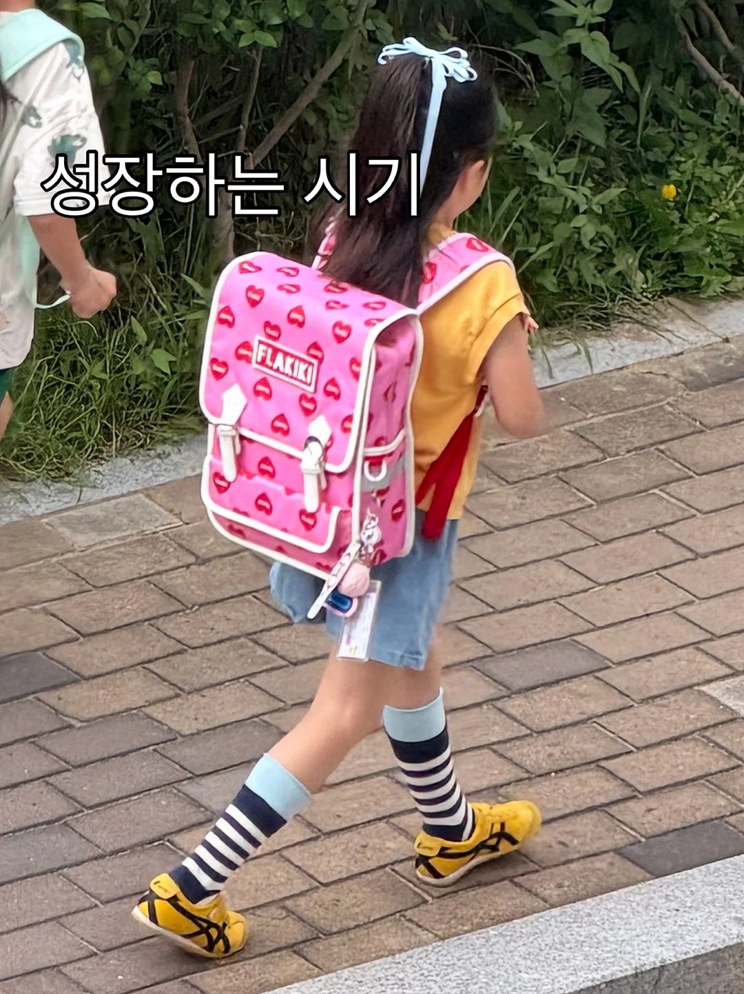 For pets only 데님백 2