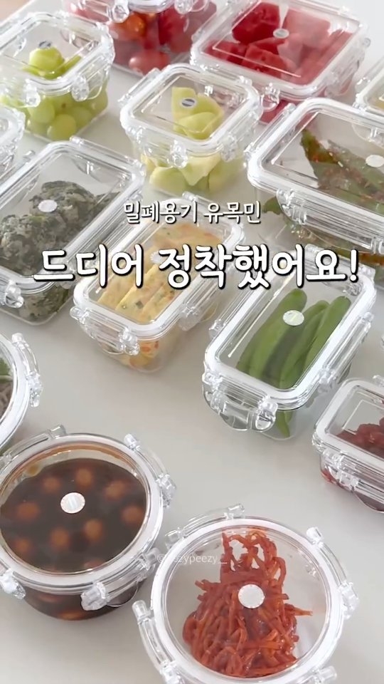 비누꽃 카네이션