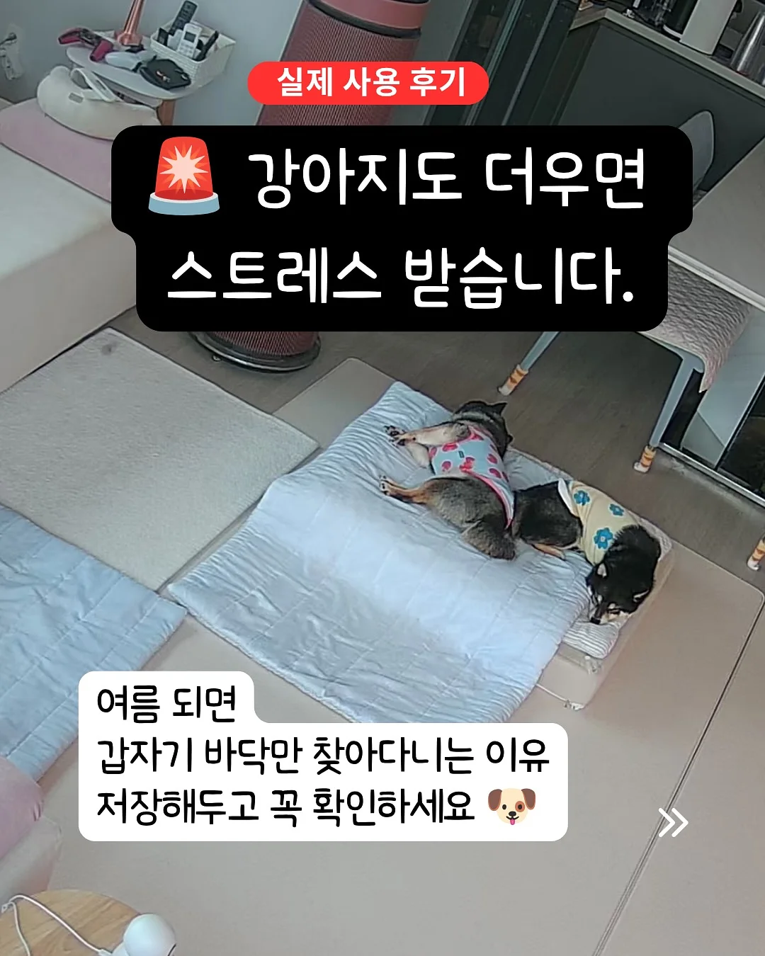 토끼 티슈 케이스 1