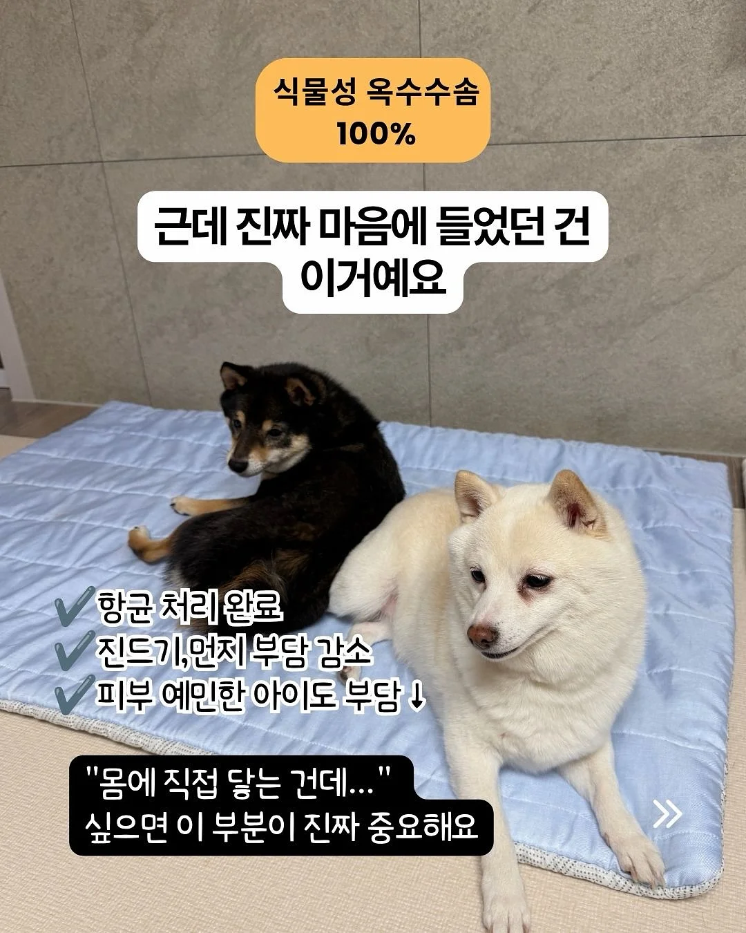 토끼 티슈 케이스 6