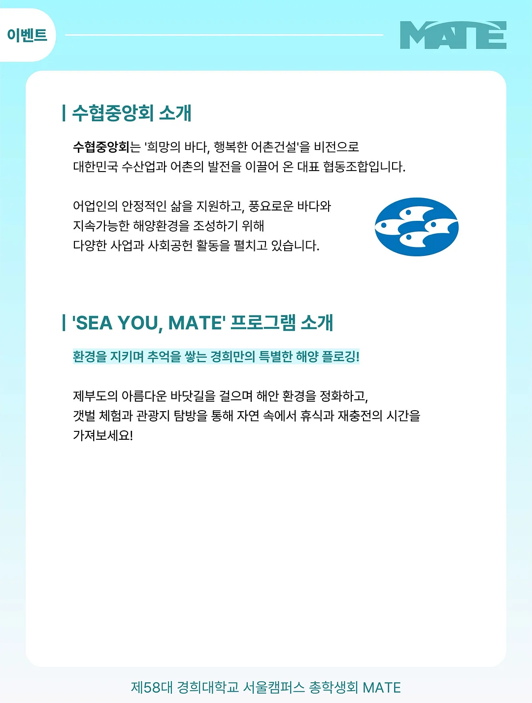 플립 플라워 꽃 정기구독 2