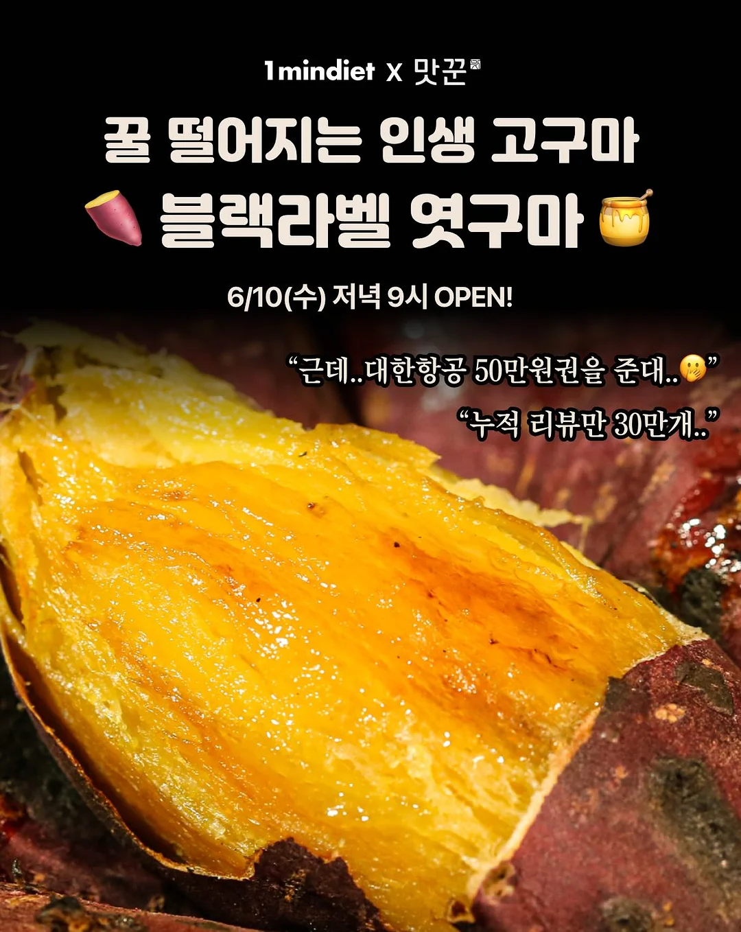 큐티 바둑이 케이프 1