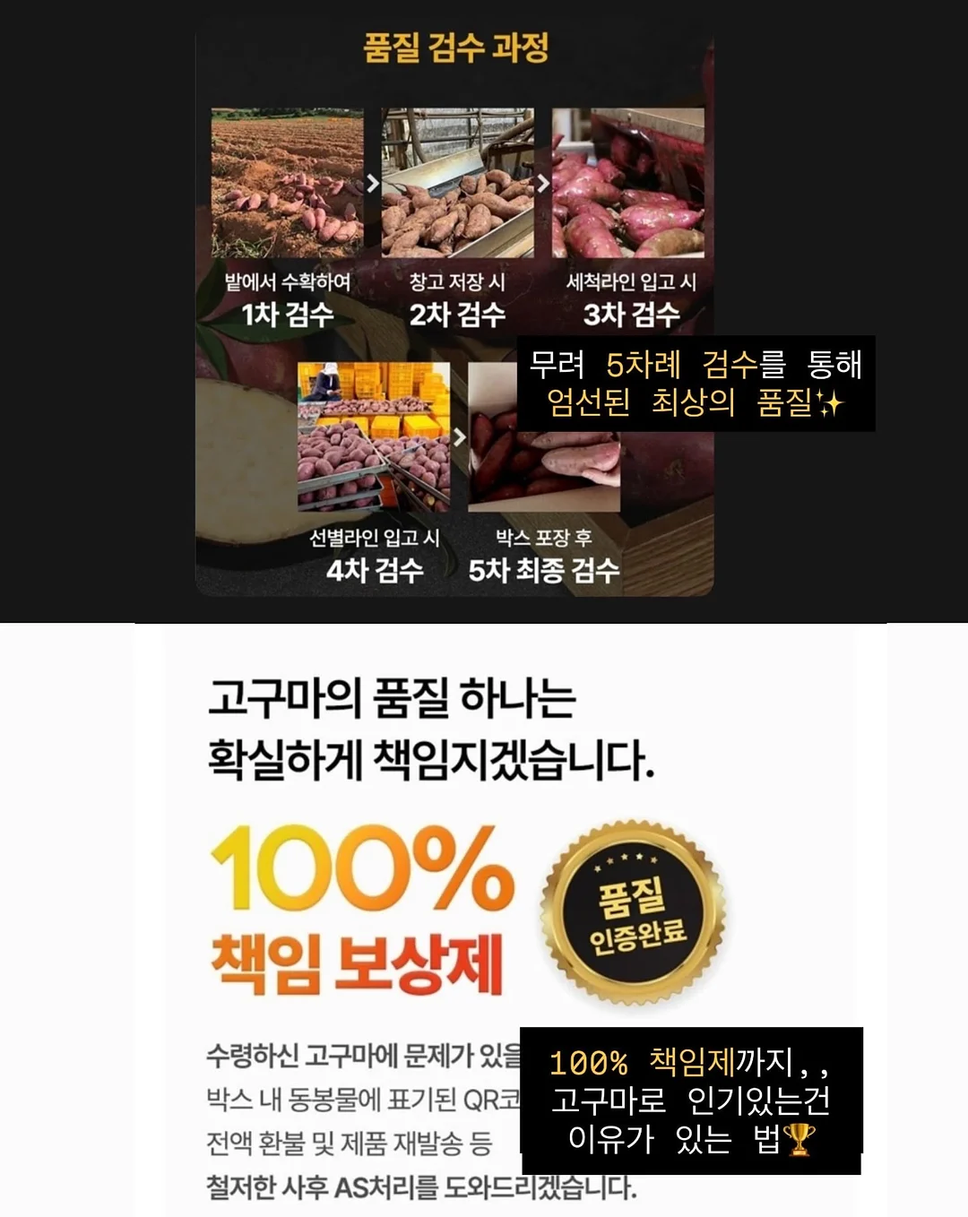 큐티 바둑이 케이프 11