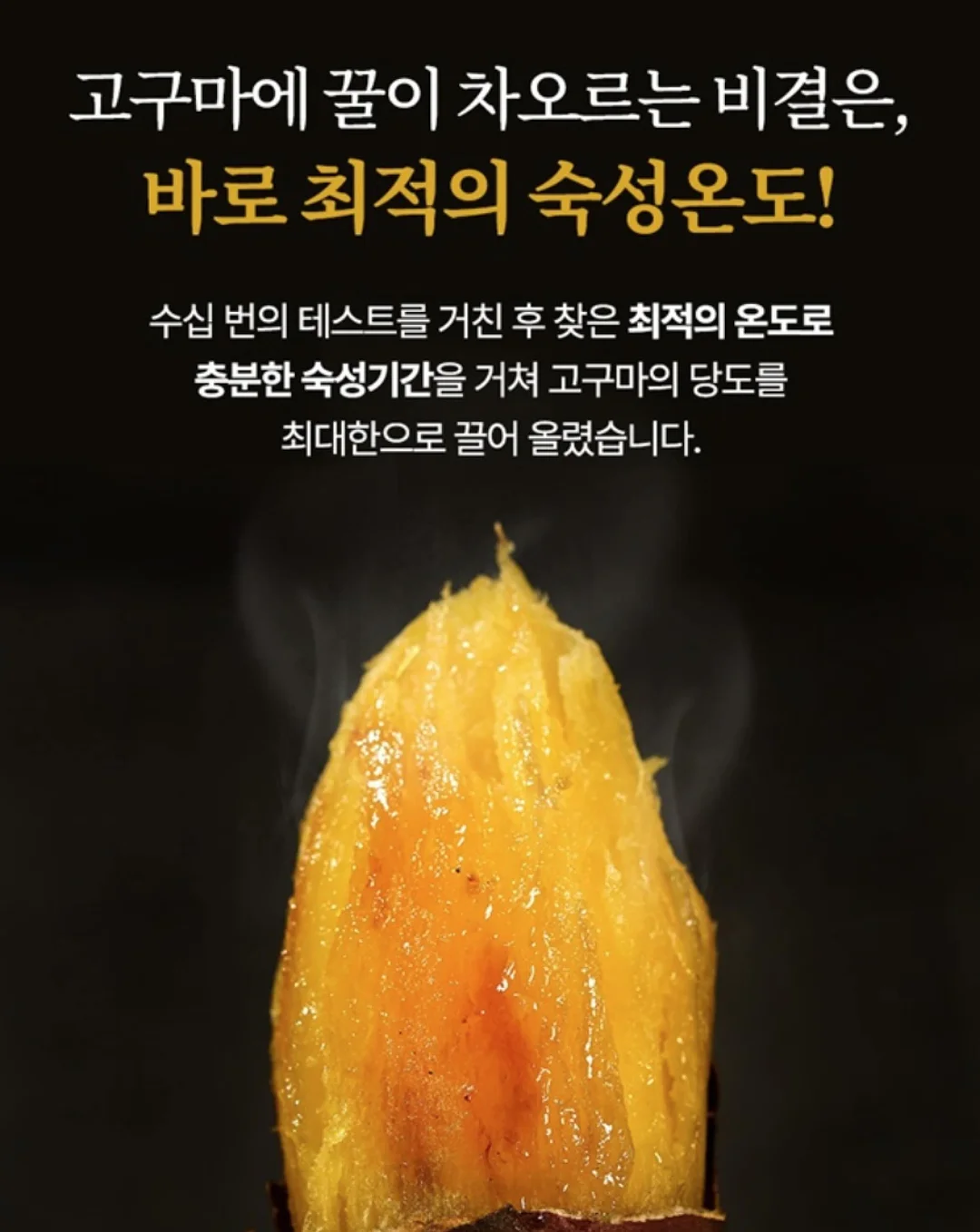 큐티 바둑이 케이프 12