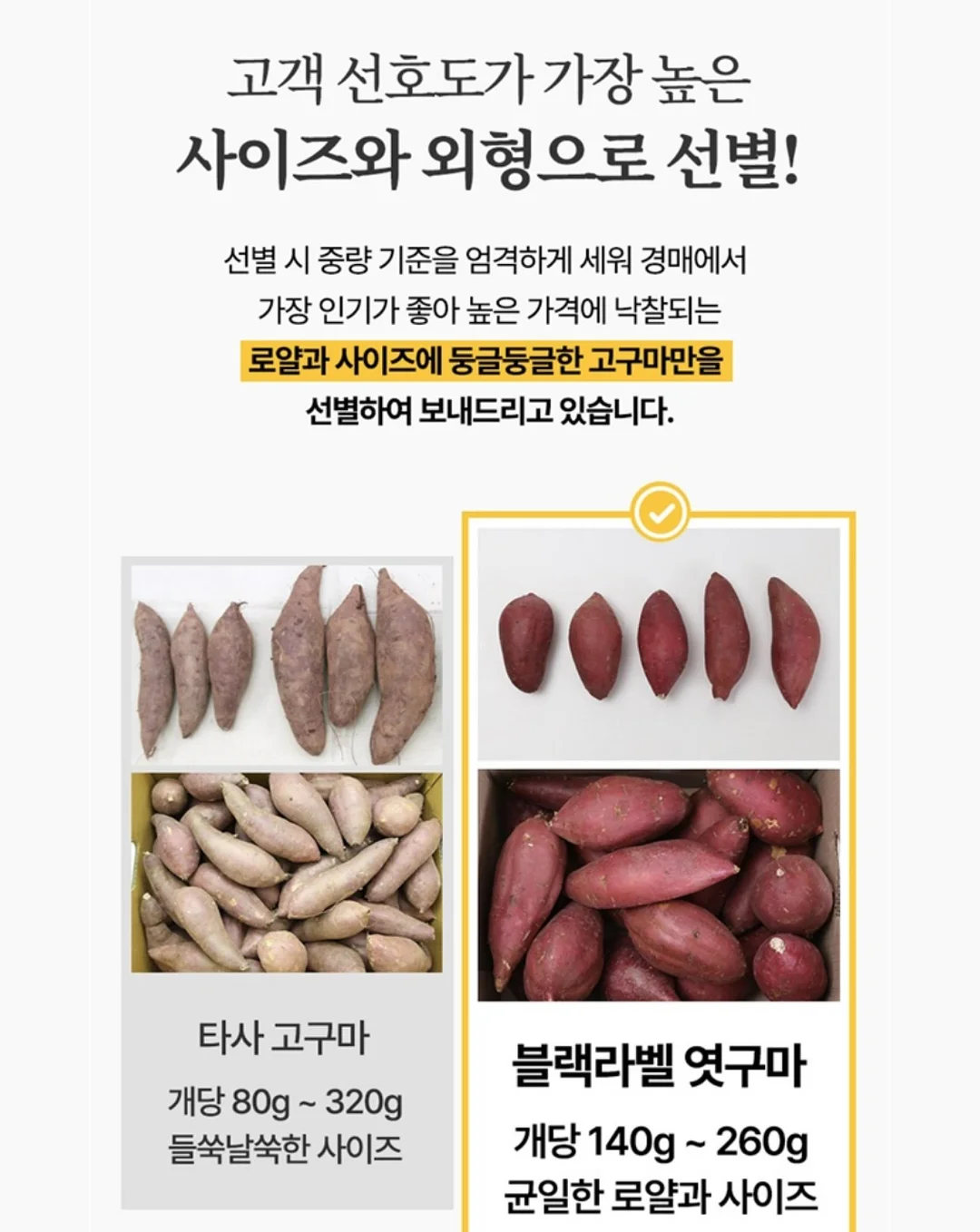 큐티 바둑이 케이프 13