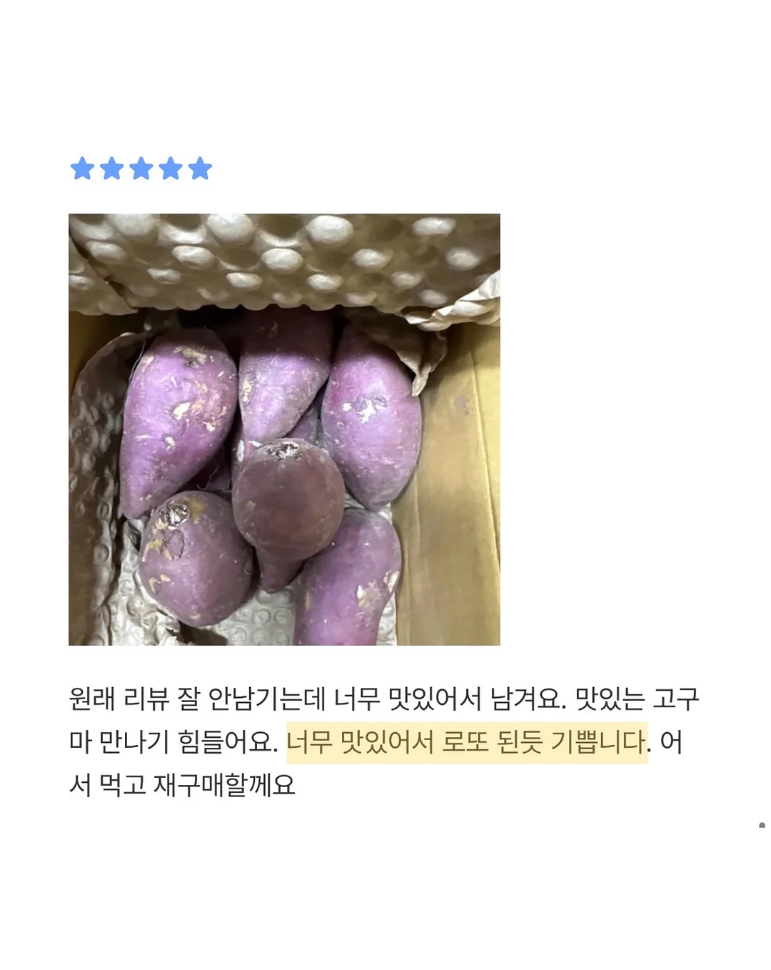 큐티 바둑이 케이프 15