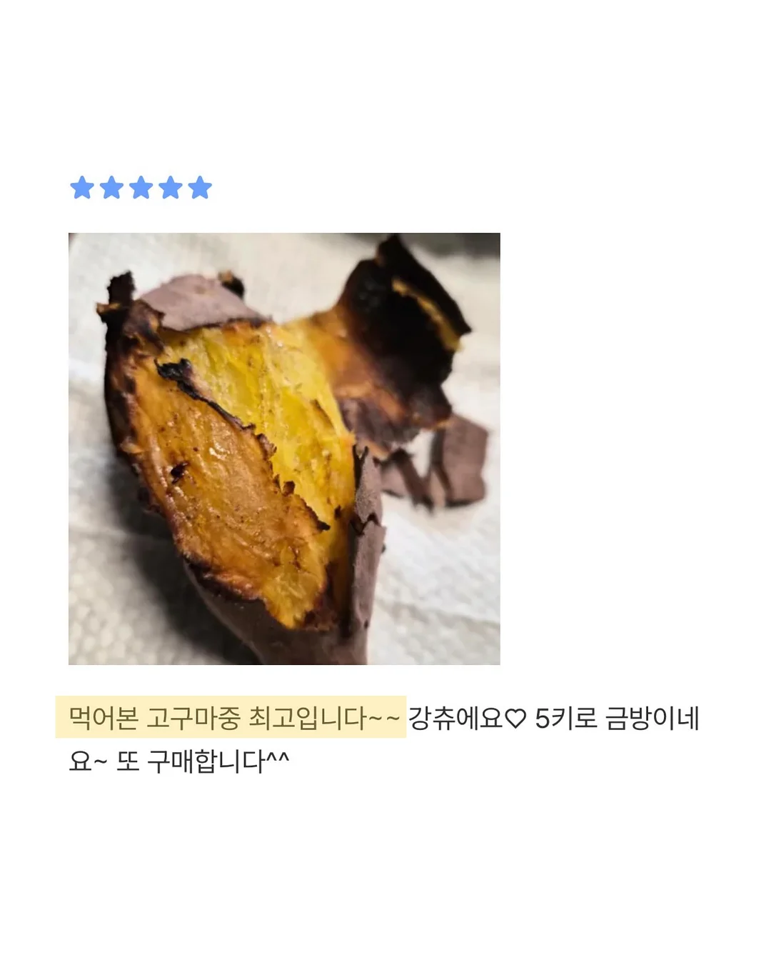 큐티 바둑이 케이프 16