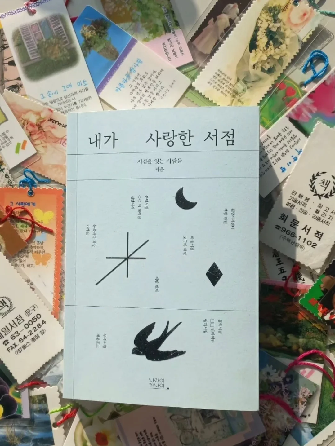 새치샴푸 3