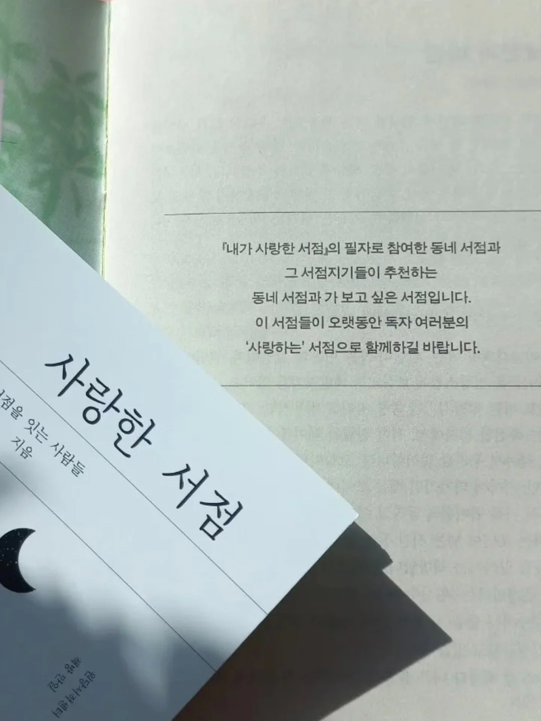 새치샴푸 5