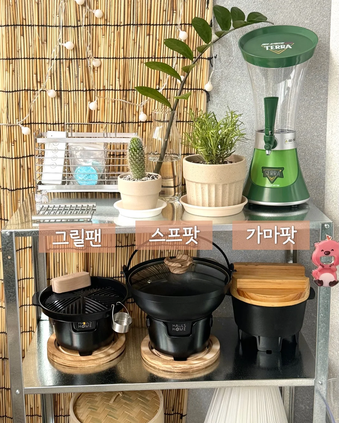무화과 4